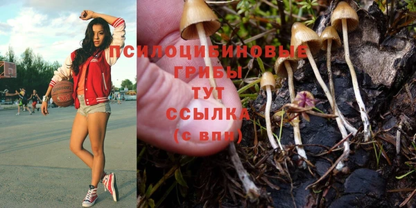 не бодяженный Инта