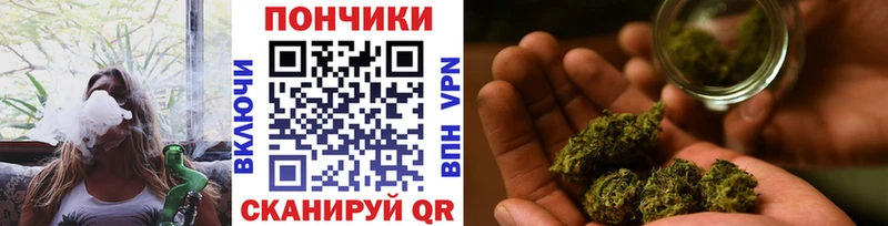 Конопля план Купить где Буинск